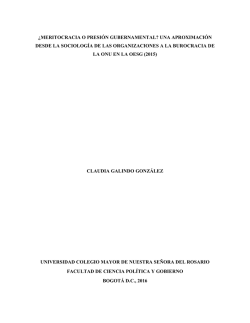 ¿meritocracia o presión gubernamental? una aproximación desde