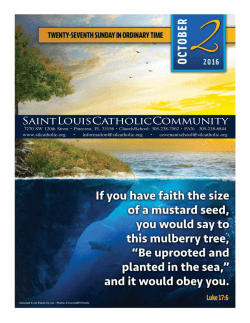 Saint Louis Catholic Community