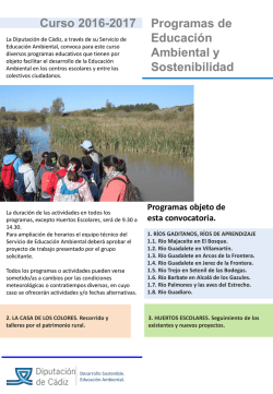 Diapositiva 1 - Diputaci&oacute;n de C&aacute;diz