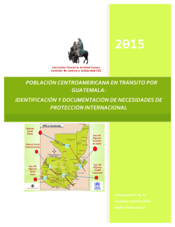 informe-2015-rpm-pmh-ceg - Pastoral de Movilidad Humana