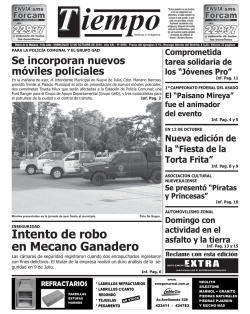 Intento de robo en Mecano Ganadero - Diario Tiempo Digital