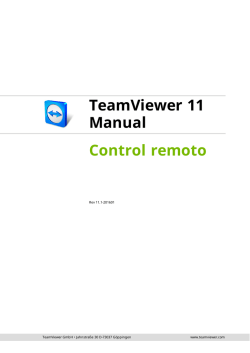TeamViewer Manual – Control remoto