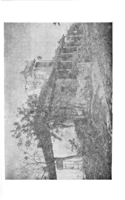 Descargar este archivo PDF