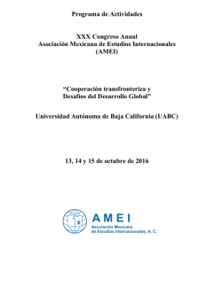 AMEI - FEyRI