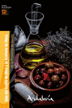 Importancia del cultivo del olivar en nuestra cultura
