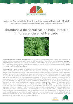 Informe Nro 40 - Mercado Modelo
