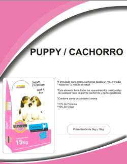 PUPPY / CACHORRO