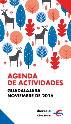 Descargar PDF - Ibercaja Obra Social