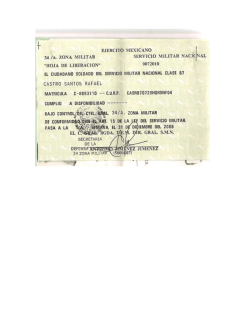 cv rafael castro santos