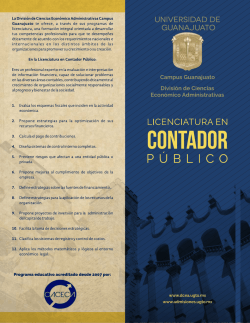 Contador Público - Guanajuato