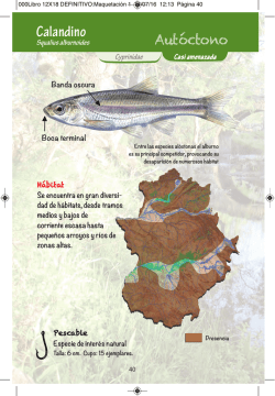 Calandino - Pesca y rios extremadura