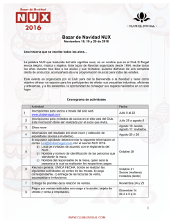 Bazar de Navidad NUX