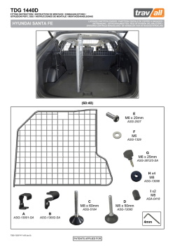 TDG1440D HYUNDAI SANTA FE DIVIDER.ppp