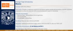 Nuffic Neso / Orange Tulip Scholarship Mexico