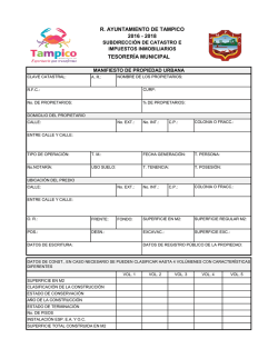 solicitud de manifiesto - Gobierno Municipal de Tampico