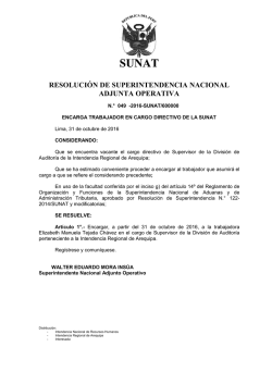 resolución de superintendencia nacional adjunta operativa
