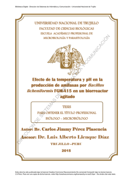 Asesor: Dr. Luis Alberto Llenque Díaz DIRECCION DE SISTEMAS