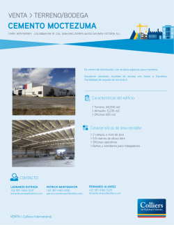 Cemento Moctezuma_2