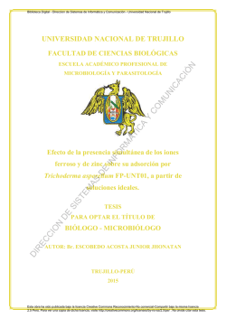 direccion de sistemas de informática y comunicación