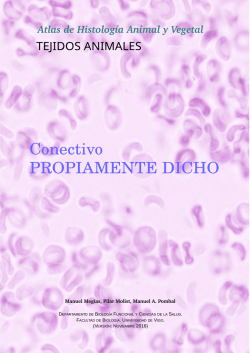 Conectivo PROPIAMENTE DICHO - Atlas de Histología Vegetal y