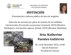 Katherine Fuentes Gutiérrez
