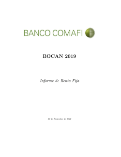 bocan 2019 - Comafi Inversiones