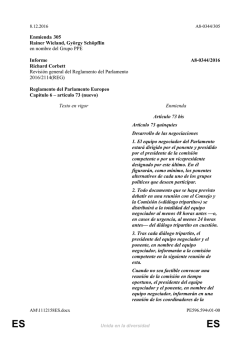 Enmienda 305 Rainer Wieland, György Schöpflin en nombre del