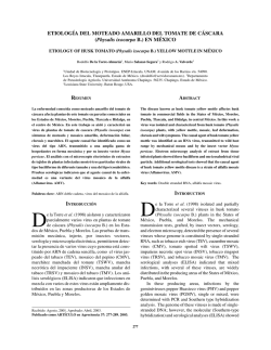 Etiology of husk tomato (Physalis ixocarpa B.) yellow mottle in