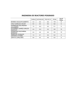 iNGENIERIA DE REACTORES POSGRADO