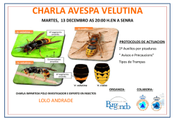 charla avespa velutina martes, 13 decembro as 20:00 h.en a senra