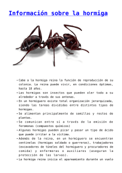 Información sobre la hormiga