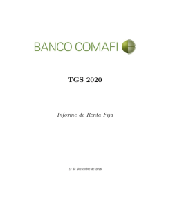 TGS 2020 - Comafi Inversiones