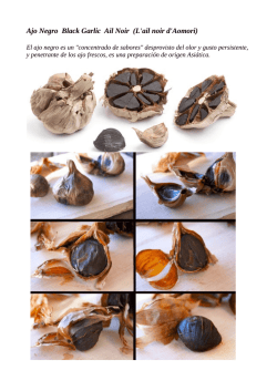 Ajo Negro Black Garlic Ail Noir (L&rsquo;ail noir d&rsquo;Aomori) Luis Perrone