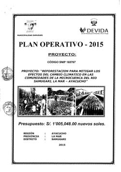 plan operativo - 2015