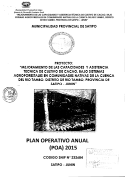 plan operativo anual (p0/9 2015