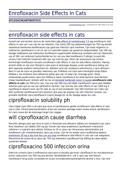 Enrofloxacin Side Effects In Cats