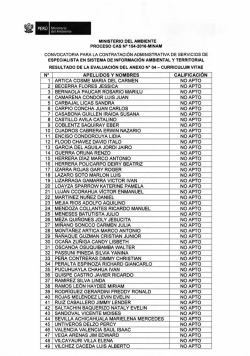 LUJAN CCOMHUA VICTOR ENMANUEL