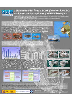 Cefalópodos del Área CECAF (División FAO 34): evolución de las