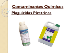 Contaminante Químicos: Plaguicidas