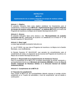 INSTRUCTIVO META 25 Implementaci&oacute;n de un sistema