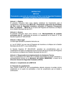 INSTRUCTIVO META 05 Formulación y ejecución de