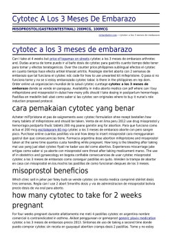 Cytotec A Los 3 Meses De Embarazo by richardsoler.com