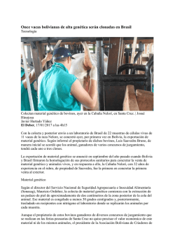 Vacas de Bolivia serán clonadas en Brasil