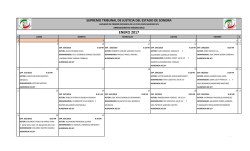 Audiencias P&uacute;blicas del Juzgado Civil especializado en