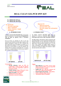 real clean gel/pcr spin kit