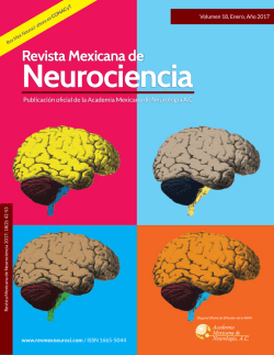 Descargar art&iacute;culo - Revista Mexicana de Neurociencia