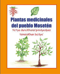 Plantas medicinales del pueblo Mosetén