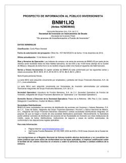 BNM1LIQ - Fondos de Inversión Banamex