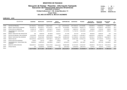Información Agregada Ejecucion del Presupuesto (Grupos Dinamicos)