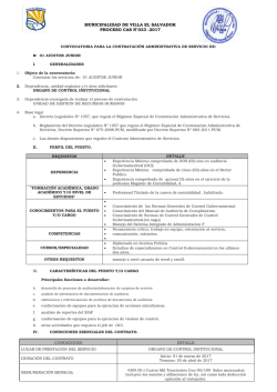 municipalidad de villa el salvador proceso cas n°033 -2017